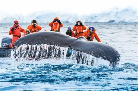 Antarctica Jan. 8 - 19 2027!